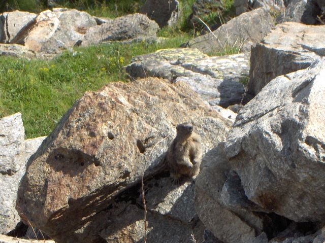 ABITANTI DELLA VALSAVARENCHE , PARCO NAZIONALE GRAN PARADISO